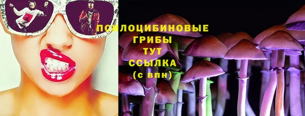 гидропоника Абдулино