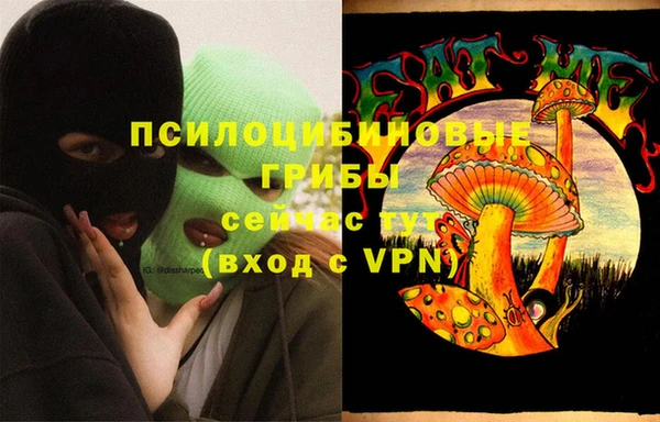 мдпв Абинск
