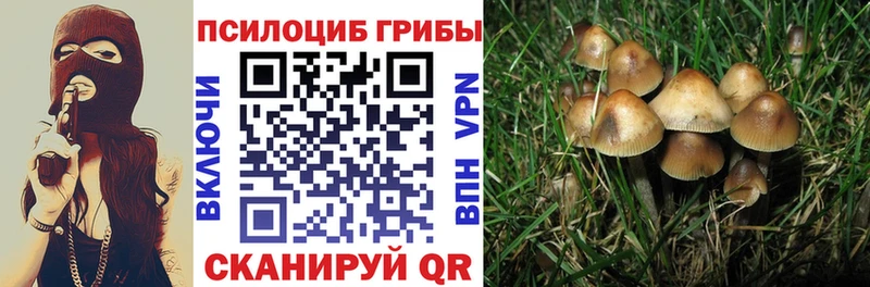 наркошоп  Абдулино  Псилоцибиновые грибы MAGIC MUSHROOMS 